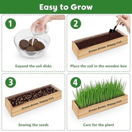 LUOJIBIE Cat Grass Kit for Indoor Cats, Cat Grass Seeds Set, Non-GMO Wheat Grass, Mother' s Day Gifts for Mom, Unique Christmas Birthday Gifts for Women Men Girl, House Warming Gifts for Cat Lover - Thumbnail 3