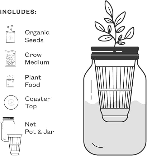 Modern Sprout Garden Jar Gift Pack - Self-Watering Hydroponics Growing System Kit with Organic Herb Seeds - Seed Starter Kit for Indoor Herb Garden - Home Decor & Gifting - Basil, Parsley & Mint - Thumbnail 6