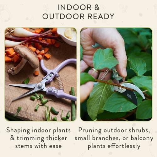 Modern Sprout Hand Pruners & Shears Set with Blister Pack - Lightweight Gardening Tools with Easy Lock - Sharp Carbon Steel Blades -Rust Resistant Scissors for Herbs, Flowers - Chartreuse - Thumbnail 5