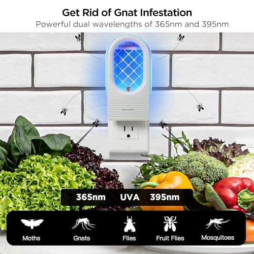 Indoor Fruit Fly & Gnat Traps Plug-in - UV/Blue Light Insect Trap with 2 Devices+6 Refills, Safe & Odorless Flying Insect Catcher for House/Kitchen/Office - Get Rid of Mosquitoes, Moths, Gnats - Thumbnail 2