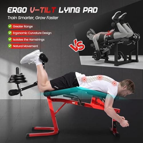 ANCHEER Leg Extension and Curl Machine, 880LBS Adjustable Leg Curl Machine, Seated Leg Extension and Lying Curl Machine for Home Gym, Leg Workout Equipment Compatible with 1" and 2" Plates - Thumbnail 3