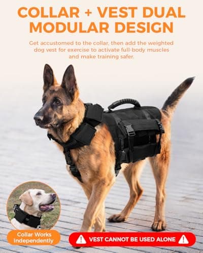LISPOO Weighted Dog Vest & Collar Set with Pockets, Includes 4 Removable 0.88 lb Weight Blocks, Dog Training Gear for Exercise Walking & Conditioning, Muscle Building with Medium & Large Dogs (M) - Thumbnail 5
