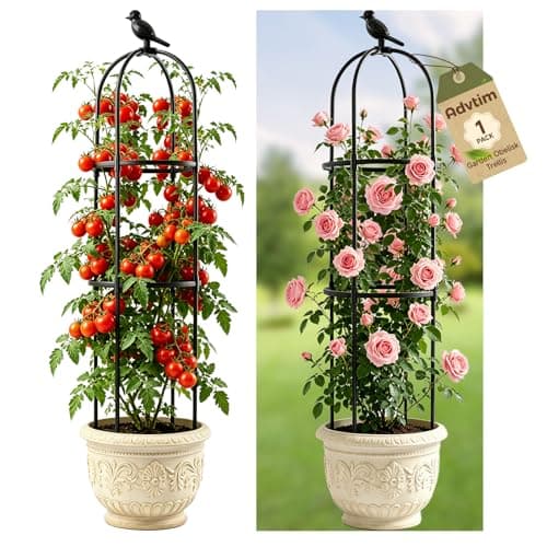 1pcs Garden Obelisk Trellis for Climbing Plants Outdoor, Tomato Cages for Garden, Metal Rustproof Plant Support Trellis for Potted Plants, Rose, Vine, Vegetable, Flower for Outdoor & Indoor Use - Image 1