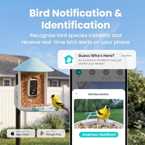 NETVUE by Birdfy Smart Bird Feeder with 2K HD AI Camera Solar Powered, Wireless Wildbird Watching, Live Stream&Color Night Vision, Auto-Capture & Notify, Free Cloud Storage(AI by Subscription) - Thumbnail 2