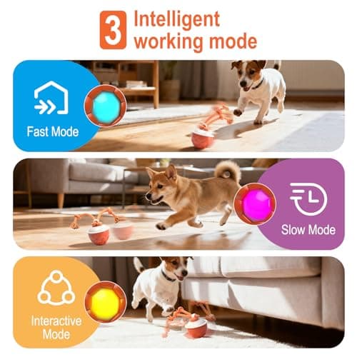 MewZoo Interactive Dog Toys-Automatic Moving Dog Toy for Boredom, Squeaky Smart Motion Pet Ball for Small Medium Large Dogs, Rope Chew for Teeth Cleaning, Outdoor Waterproof (Red) - Thumbnail 4
