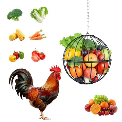 AOTECC Hanging Chicken Feeder - 7.1 Inch Metal Chicken Treat Holder Ball with Hanging Chain, Sturdy Poultry Vegetable Fruits Feeder Basket for Chicken Coop