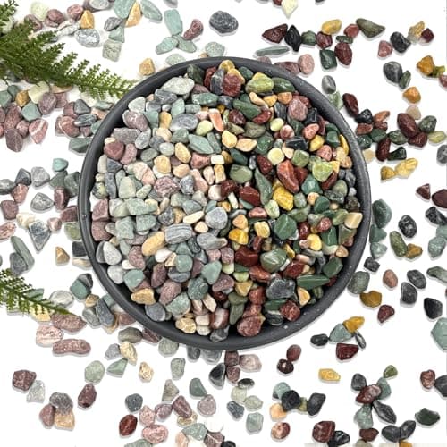 5LB Succulents Rocks for Plants Cactus Gravel Pebbles for Fish Tank 1/2 Inch Natural River Rocks for Vase, Aquarium, Landscaping,Bonsai,Terrarium Pebbles, Mixed Color - Image 1