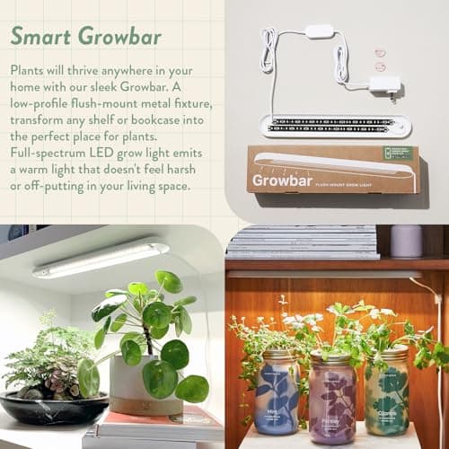 Modern Sprout Garden Jars + Smart Growbar Bundle - Self-Watering Hydroponic Herb Growing Kit with Full-Spectrum LED Grow Light, Organic Herb Seeds, Smart App, Adjustable Brightness, Ideal for Gifting - Thumbnail 4