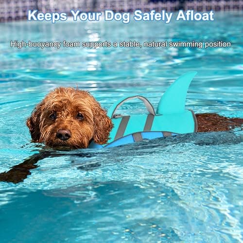 Dogcheer Dog Shark Life Jacket for Small, Medium & Large Dogs, Adjustable High Buoyancy Swim Vest with Rescue Handle, Reflective Pet Flotation Vest for Boating - Pine Green, XL - Thumbnail 3