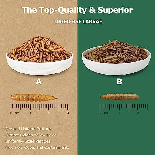 HARTOMPET 1LB Non-GMO Dried Black Soldier Fly Larvae for Chickens, Superior Calcium Boost, Better Than Dried Mealworms, Poultry Feed Ideal for Molting & Laying Hens, Wild Birds, Ducks | Top Grade BSF - Thumbnail 3