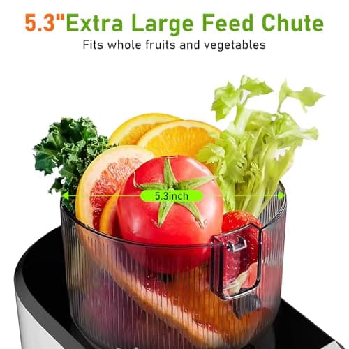 CFR606-1 Cold Press Juicer Machines,Touch Sensing Function,Double Filter Screen,5.3"Wide Feed Chute,350W Slow Masticating Juicer for Whole Vegetables & Fruits,Easy to Clean(White) - Thumbnail 4