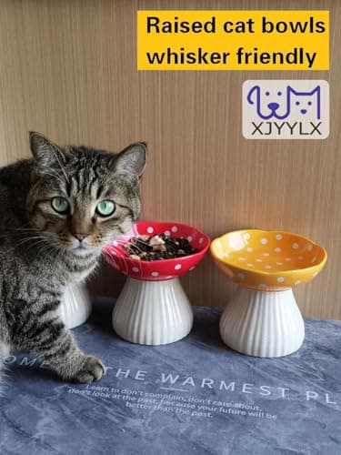 XJYYLX Elevated Mushroom Cat Bowls Ceramic, Raised Cat Bowls for Indoor Cats, Cute Whisker Fatigue Cat Bowl, Raised Dog Bowl Stand for Food and Water, Yellow 6" Wide for Adult Cats - Thumbnail 2