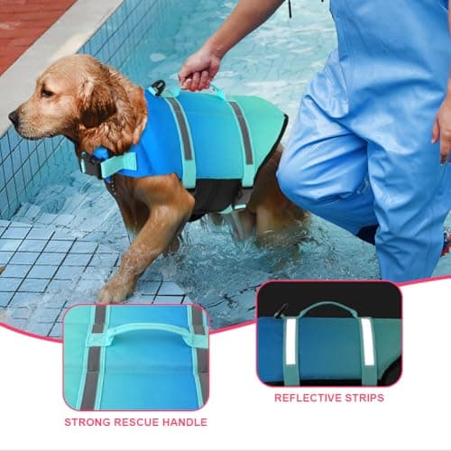 Doglay Dog Life Jacket, Life Vest for Swimming and Boating, Adjustable Puppy Life Jacket with Reflective Stripes, Superior Buoyancy Pet Swimming Vest for Small Medium and Large Dogs - Thumbnail 5