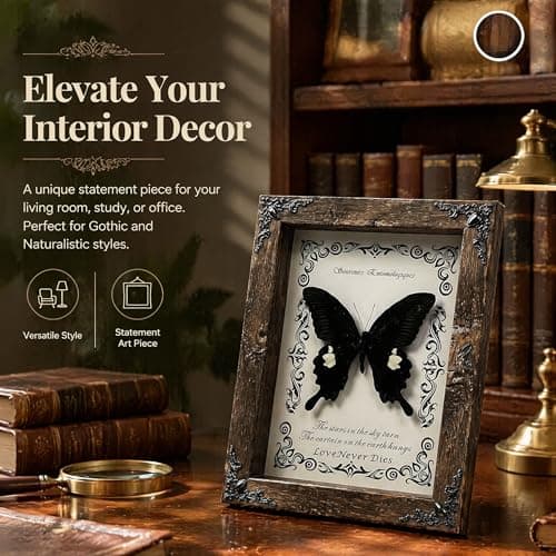 Wugakio Real Butterfly Framed - Hanging wood grain photo frame, Taxidermy Animals for Oddities and Curiosities Gifts (Jade spotted butterfly - Wood Grain Photo Frame) - Thumbnail 3