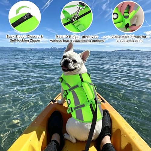 Dogcheer Dog Life Vest High Buoyancy Safety Jacket with Rescue Handle, Dog Swim Vest with Zipper, Reflective Adjustable Dog Flotation Vest for Water Swimming Boating - Green, M - Thumbnail 5