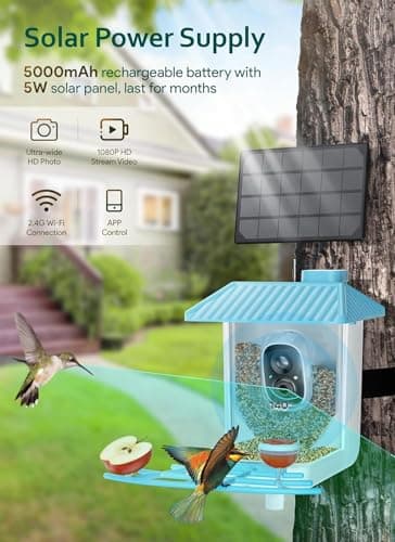 Osoeri Bird Feeder with Camera - Solar Smart Bird Feeder with AI Identify, 1080P HD Auto Capture Birds Video, Real-Time Alerts, Gifts for Family and Friends, 2.4GHz WiFi - Thumbnail 5
