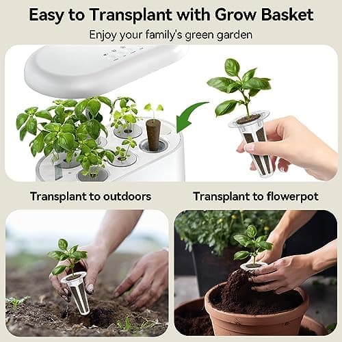 Inbloom 7-Pods Salad Greens Seed Pod Kit for AeroGarden, Ahopegarden, Gardencube Hydroponic Garden with Spinach, Buttercrunch, Paris & American Lettuce, Swiss Chard, Arugula, Bok Choy - 350 Seeds - Thumbnail 5