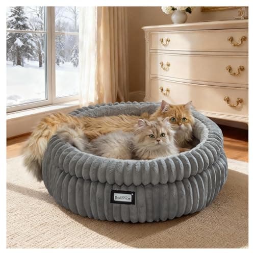 BALANCE Cat Bed Kitten Bed, Washable Round Cat Beds for Indoor Cats,Super Soft Plush Faux Fur Pet Bed for Puppy and Kitten with Anti-Slip Bottom - Image 1