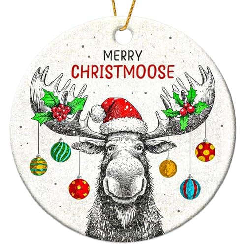 Moose Ornaments for Christmas Tree, Christmas Vacation Ornament, Hunting Woodland Animal Deer Ornaments, Cute Ornament for Kids - Moose Gifts for Women Lovers