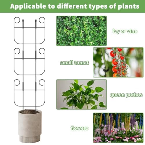 4 Pack Trellis for Climbing Plants Indoor, Expandable Small Metal Trellis for Potted Plants, Flowers Vine Ivy, Sturdy Houseplant Pothos Plant Climber Support - Thumbnail 6