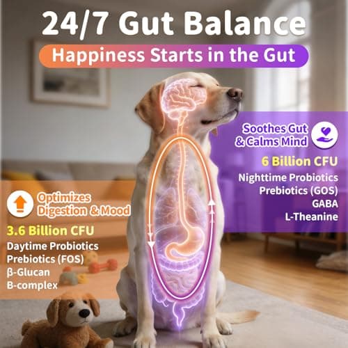 25-in-1 Dog Vitamins and Supplements - Day & Night 2 Pack - Dog Multivitamin Powder with Collagen, Glucosamine, Probiotics - Joint, Gut, Calm, Skin & Immune Support, Chicken Flavor, 150 Scoops - Thumbnail 5