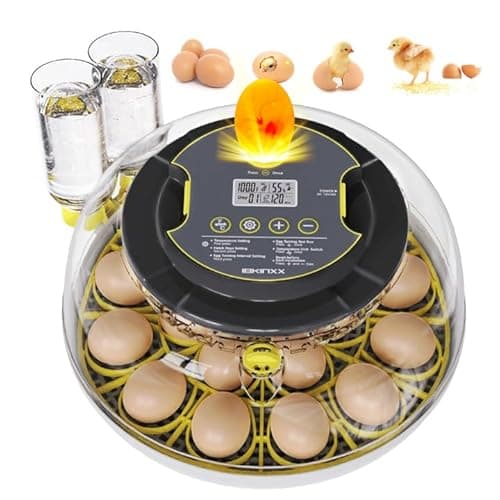 IBKINXX Incubator for Hatching Eggs-18 Egg Capacity, 2026 Newly Upgraded Automatic Egg Turner, Temperature & Humidity Control, 360° Viewing for Chicken, Duck and Quail Eggs (Black) - Image 1