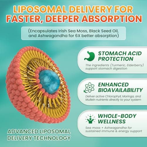 Sea Moss Drops - Irish Sea Moss Chlorophyll Liquid with Black Seed Oil, Ashwagandha, Moringa, Turmeric, Elderberry, Mullein, Seamoss Gel Supplement for Gut & Liver Cleanse, Immune Support - Vegan 2 Oz - Thumbnail 6