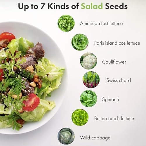 Salad Seeds for AeroGarden, iDOO, Ahopegarden Hydroponics Growing System, 7-pods, 350+ Seeds (Include Spinach, Swiss Chard, American Fast Lettuce, Cabbage, Cauliflower) - Thumbnail 4