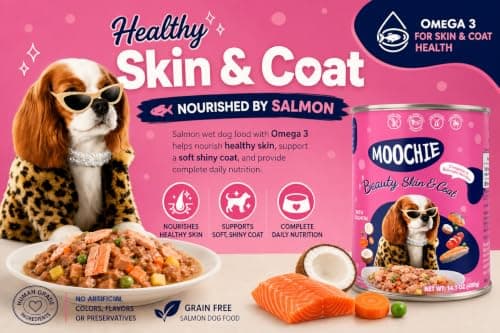 MOOCHIE Skin & Coat Wet Dog Food - Salmon, Chicken & Beef Liver- Grain Free - No Artificial Flavors or Preservatives - 4 × 14.10 oz cans - Thumbnail 2