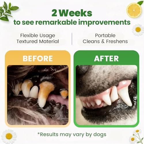 PHASORRA Dog Dental Care Wipes - 60Ct Tooth Brushing kit, Heavy Duty Teeth Cleaning for Dogs & Cats, Remove Tartar & Plaque, Dog Breath Freshener, Dog Toothbrush & Toothpaste Alternatives - Thumbnail 3