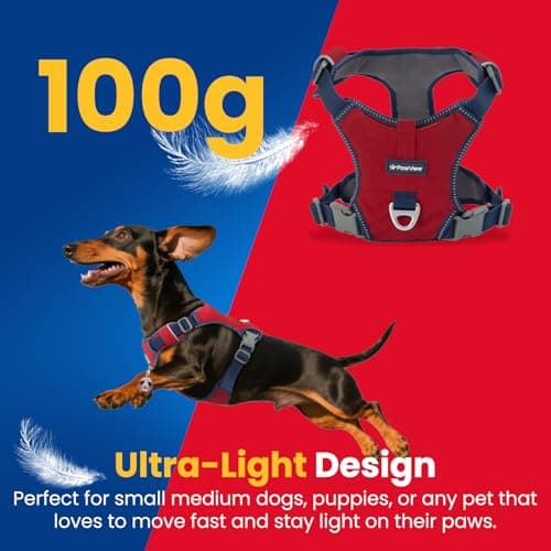 No Pull Dog Harness for Medium & Large Dogs, Lightweight Escape Proof Adjustable Dog Harness with Pocket, Front & Back Clip, Reflective Soft Vest with ID Tag, for Running Walking, Red - Thumbnail 2