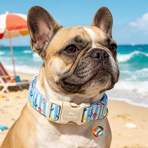 MR.CHUBBYFACE Summer Dog Collar, Cute Blue Ocean Theme Submarine World Pet Collar for Pup Small Medium Large Boy Girl Dogs, Ideal for Beach Park Pool Walks-XL - Thumbnail 4