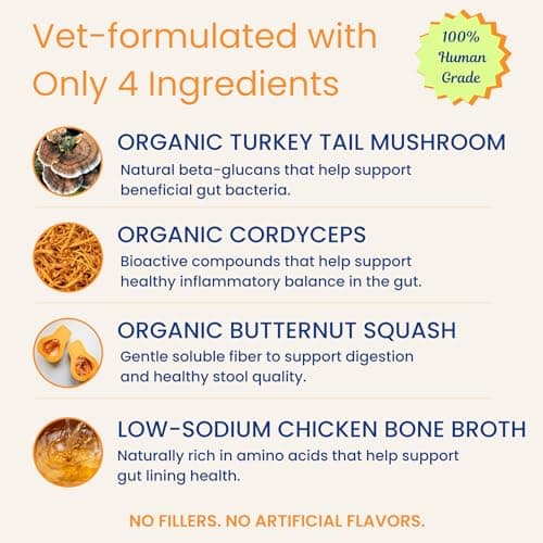 PupSip Turkey Tail Mushroom for Dogs – Dog Mushroom Powder Supplement for Immune Support, Gut Health & Digestive Wellness – Vet-Formulated with Cordyceps & Bone Broth – 12 Sticks - Thumbnail 4