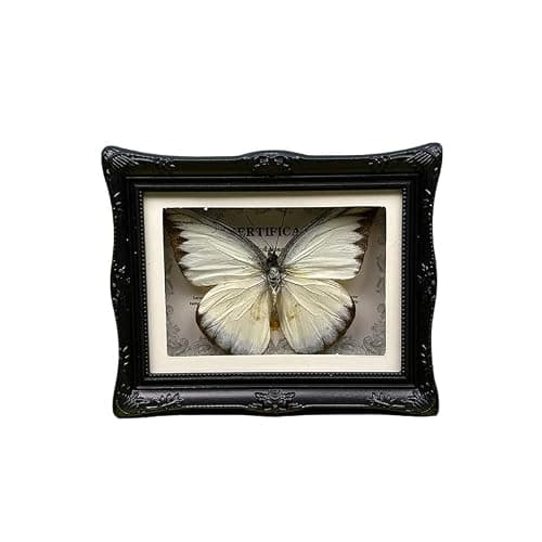 1Pcs Real Butterfly Framed Handmade, Taxidermy Butterfly Shadow Box Collection, Framed Butterfly Taxidermy for Oddities and Curiosities Gifts Tabletop Ornaments (#16-butterfly Specimen+photo Frame) - Image 1