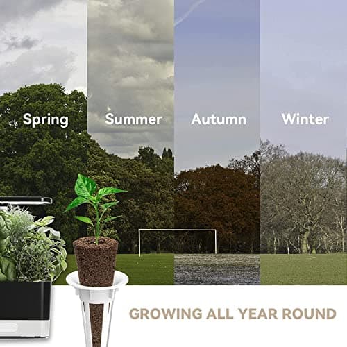 inbloom Salad Green Seed Pod Kit for Hydroponics Growing System, 12 Pods (350+ Seeds with American Fast/Paris Island/Buttercrunch Lettuce, Swiss Chard, Spinach, Cauliflower, and Wild Cabbage) - Thumbnail 6