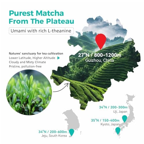 Emerail Organic Matcha Powder, USDA-Certified Pure Matcha Green Tea Powder, Premium Culinary Grade, Perfect for Lattes Smoothies and Baking, Sugar Free (70g / 2.5oz Pouch) - Thumbnail 4