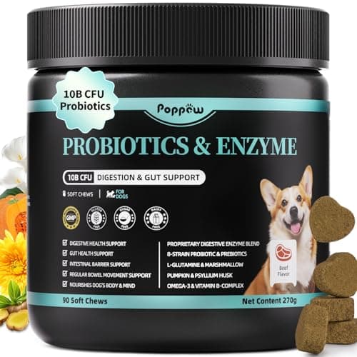 Probiotics for Dogs, Digestive Enzymes & Pumpkin Fiber for Gut Health and Bowel Support, Dog Supplement for Gas Relief & Constipation, 10B CFU with 5 Prebiotics & 5 Enzymes, 90 Count Beef Flavor - Image 1