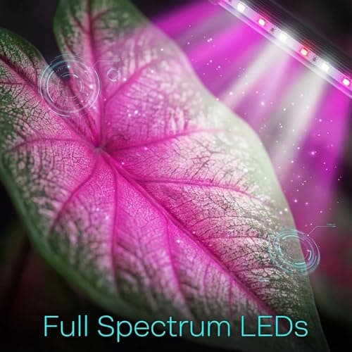 TheOneGrow Desk Grow Light for Indoor Plants with Timer, 28.7" Flexible Gooseneck Plant Light for Desk, 4-Dimming Levels, USB Powered Office Grow Light for Succulents, Herbs - Thumbnail 6