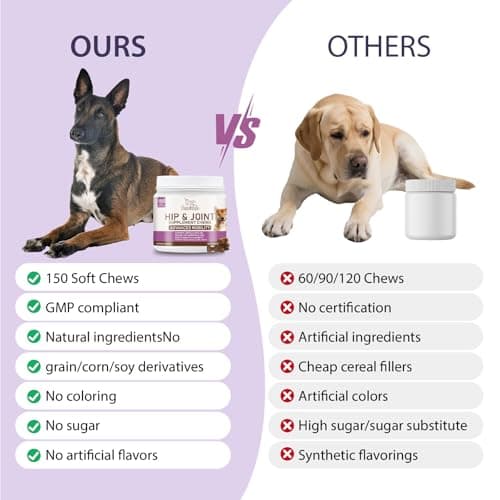 JESNABELULU Joint Care Chews for Dogs-High Levels of Glucosamine, Green Lipped Mussels, Omega 3 and Turmeric - Hip and Joint Supplement for Dogs to Helps Ease Discomfort & Stiffness-150 Soft Chews - Thumbnail 5
