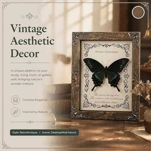 Wugakio Real Butterfly Framed - Hanging wood grain photo frame, Taxidermy Animals for Oddities and Curiosities Gifts (papilio maackii - Wood Grain Photo Frame) - Thumbnail 3