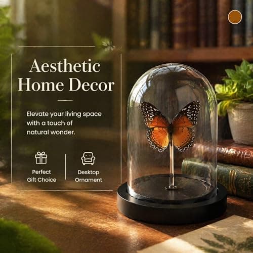 Real Taxidermy Butterfly Specimen Shadow Box, Butterfly Gifts for Women Girls with Glass Cover, Butterfly Decor for Bedroom Office Living Room Desk ﻿ Cethosia bibles Drury - Thumbnail 2