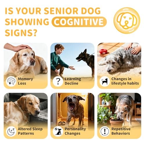 POPPAW Advanced Calming Chews for Dogs-Brain & Composure Support with 7 Mushrooms, Ashwagandha, Omega-3 DHA & EPA, Anxiety Relief Dog Calming Treat, All Breeds & Sizes, Salmon Flavor, 135Ct - Thumbnail 5