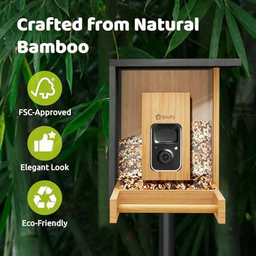 Birdfy Smart Bird Feeder with Camera, High-End Bamboo, Solar Powered Bird-Feeder with 2K Camera for Live Stream&Permanent AI Identifies Birds with Motion Detection,Ideal for Mom,Gran&Me - Thumbnail 2