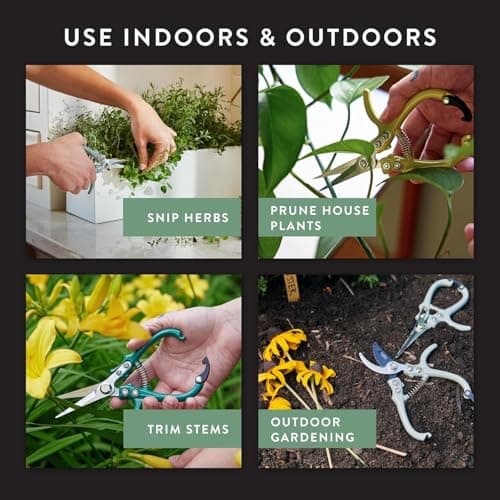 Modern Sprout Pruning Shears - Herb Snipping Scissors- Lightweight Gardening Tools W/Easy Lock - Flower Cutter Garden Shears - Carbon Steel Blade + Plastic-Free Reusable Holster (Multicolor 4 Pcs) - Thumbnail 5