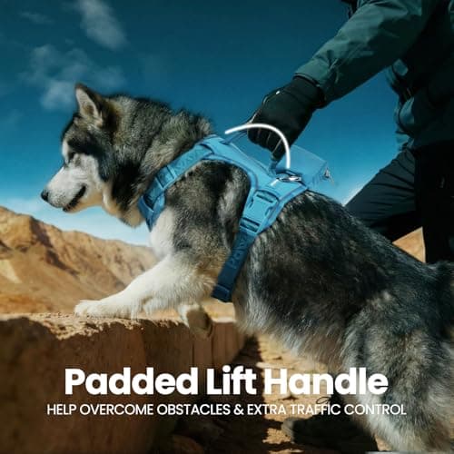 PawView Heavy Duty No Pull Dog Harness with Handle, Escape-Proof & Waterproof Vest, Adjustable Reflective Design with Front Clip & Poop Bag Holder, Includes QR ID Tag for Hiking & Running, Small - Thumbnail 4