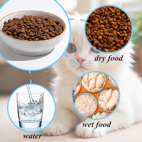 Cat Bowl 3 Pack, Pet Plate, Premium Ceramic Food Grade Pet Bowl Suitable for Dry and Wet Food, 5 in Feeding Indoor Cats, Kittens and Small Dogs, Dishwasher Safe (Black White Gray) - Thumbnail 5