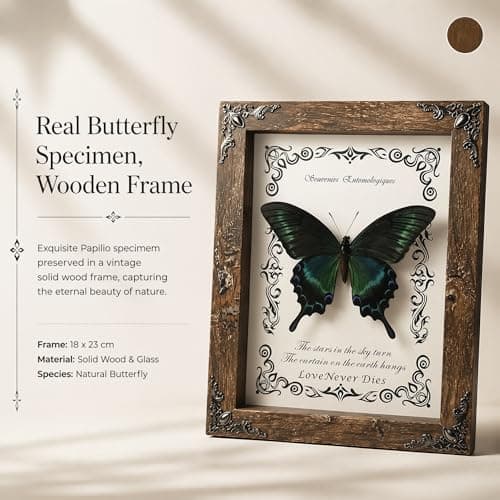 Wugakio Real Butterfly Framed - Hanging wood grain photo frame, Taxidermy Animals for Oddities and Curiosities Gifts (papilio maackii - Wood Grain Photo Frame) - Thumbnail 2