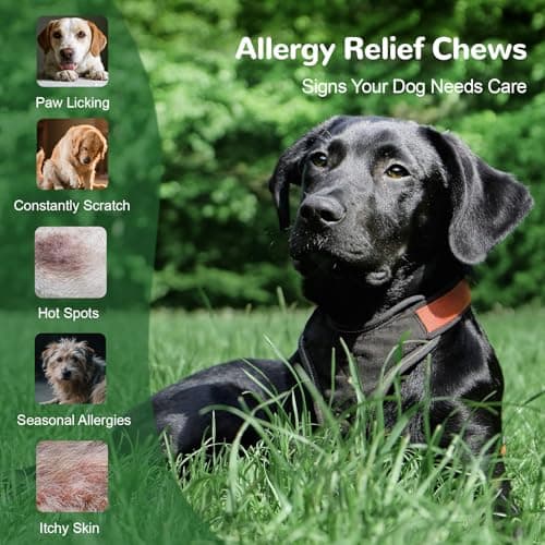 Vetriuntrix Dog Allergy Chews, Dog Itch Relief Chews for Paw Licking Itchy Skin, Probiotics with Omega-3 Turmeric Astragalus for Large Dogs Coat Immune Supplement-150ct - Thumbnail 3