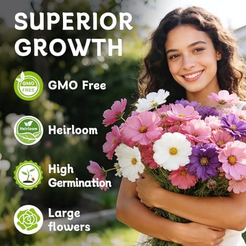 LUOJIBIE Cosmos Seeds, 4,500+ Cosmos Flower Seeds for 2026, Wildflower Seeds for Planting Outdoor Garden, Crazy Blend Mix Color, No Filler, 1.5 Oz Packet, Easy to Grow - Thumbnail 3