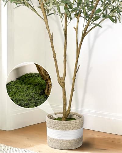 LuceAlberi Artificial Olive Tree 6FT - Tall Faux Olive Trees Indoor with Planter&Cotton Basket, Large Fake Olive Plants Realistic Branches Natural Wood Trunk and Fruits for Home House Office Decor - Thumbnail 4